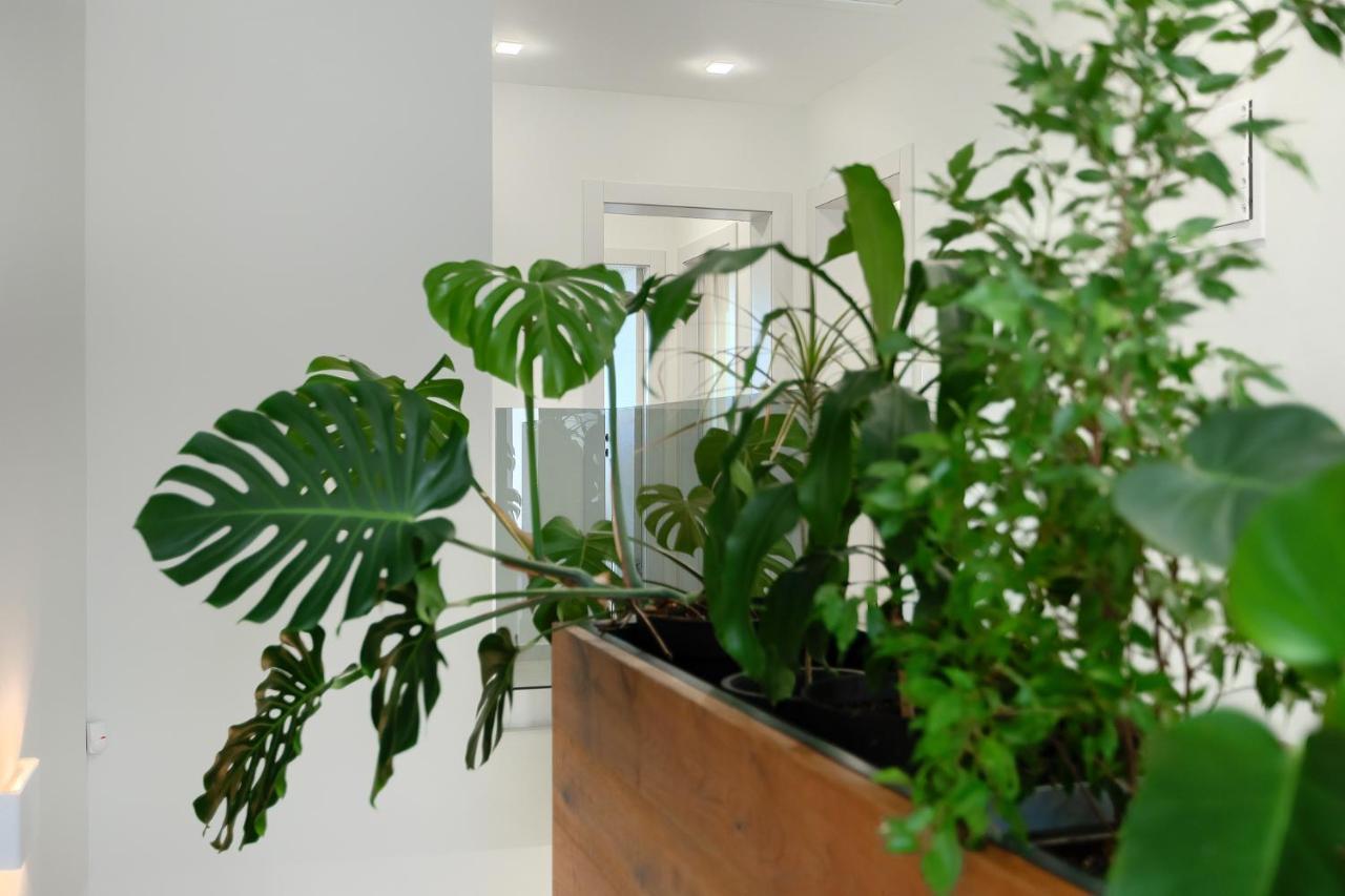 Muntić Villa Cascada מראה חיצוני תמונה